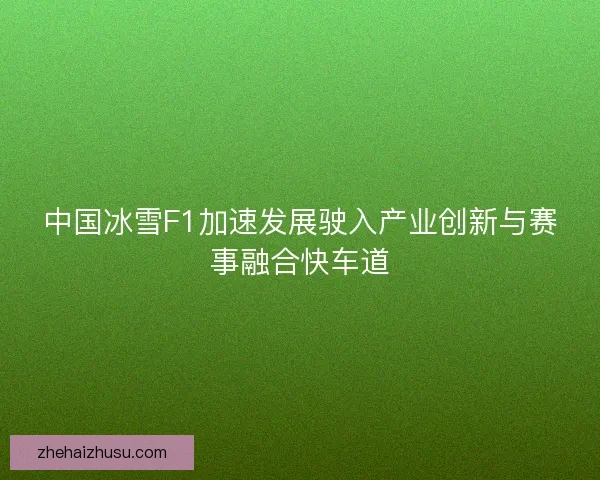 中国冰雪F1加速发展驶入产业创新与赛事融合快车道